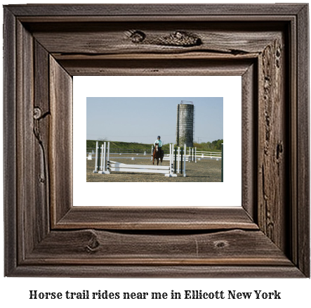 horse trail rides near me in Ellicott, New York